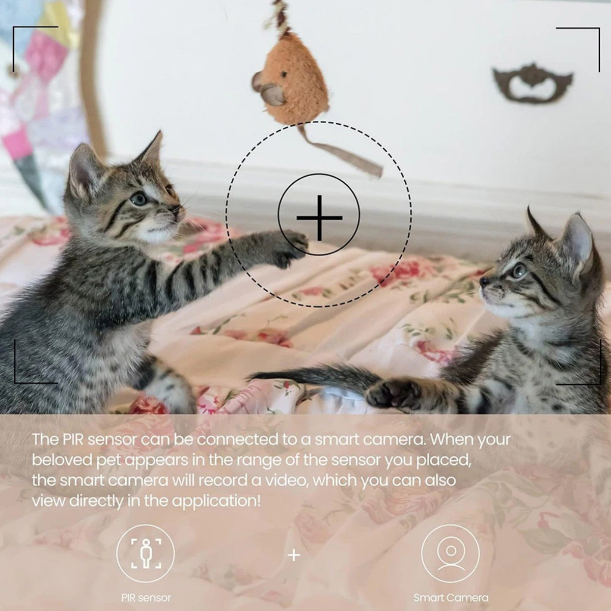 Sensore di Movimento PIR ZigBe - Home Improvement Hardware recensione e prezzo